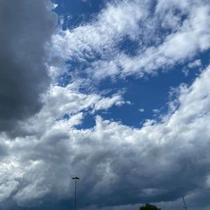 Meet your Posher, Benny